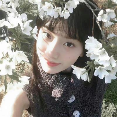 狡猾的兔小姐